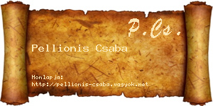 Pellionis Csaba névjegykártya